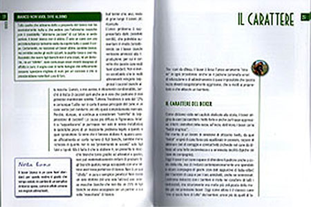 Manuali sul boxer: maneggiare con cautela