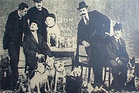 Un pedigree per il Boxer Bianco