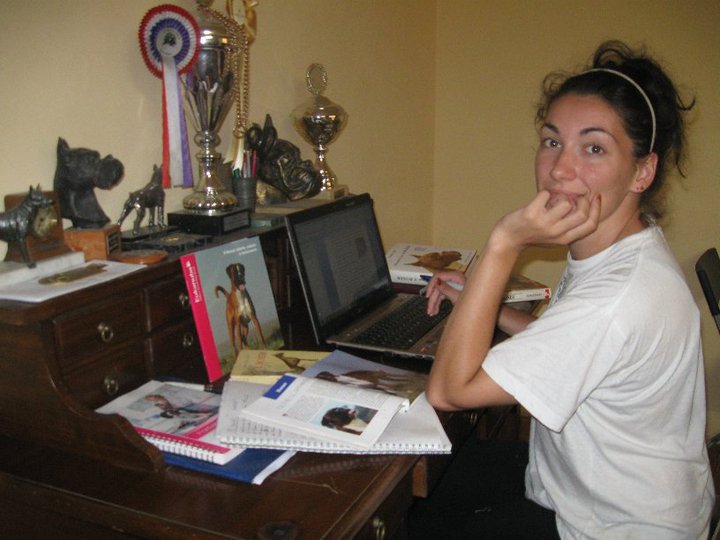 Tesi di Barbara Fabbrizzi