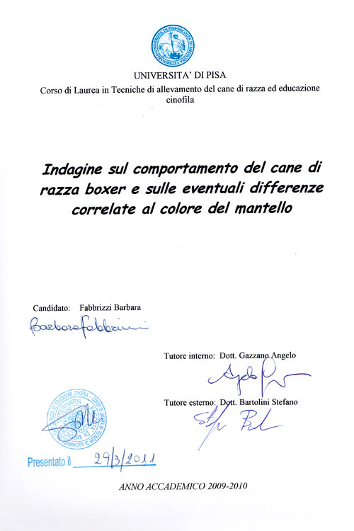 Tesi di Barbara Fabbrizzi