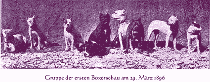 Ahnen Gruppe
