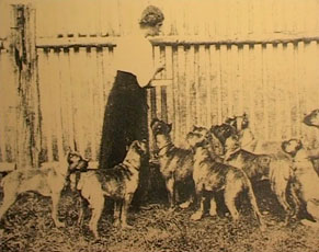Allevamento v. Dom 1912 (Rolf v. Vogelsberg)