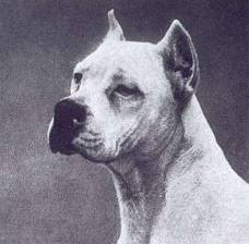 Blanca