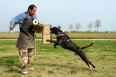 Campo addestramento Casa Bartolini