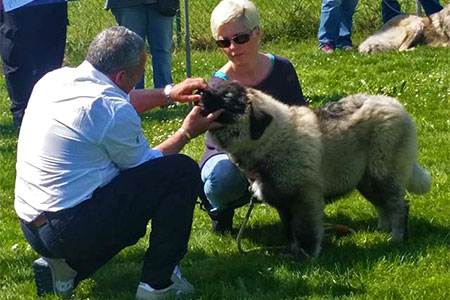 Giudice al Memorial Pollacci