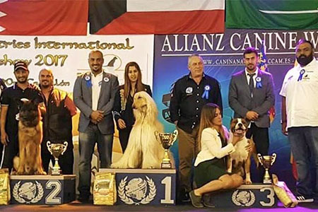 Giudice Europeo in Spagna
