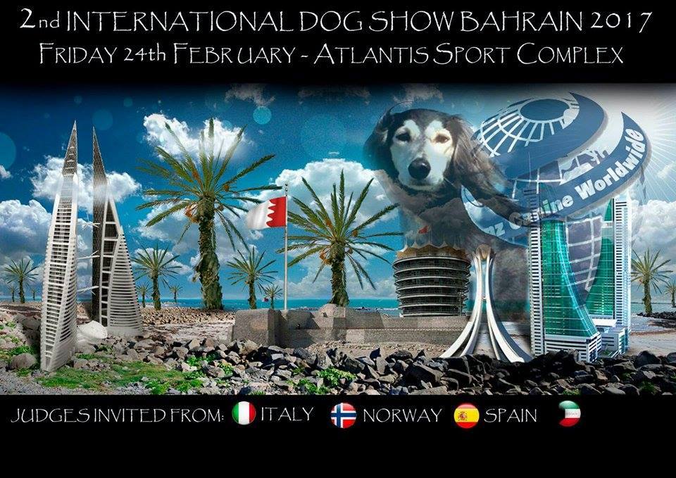 International Dog Show Bahrain 2017