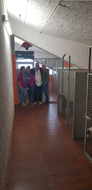Sede di Potenza Allevamento Casa Bartolini • 6/8
