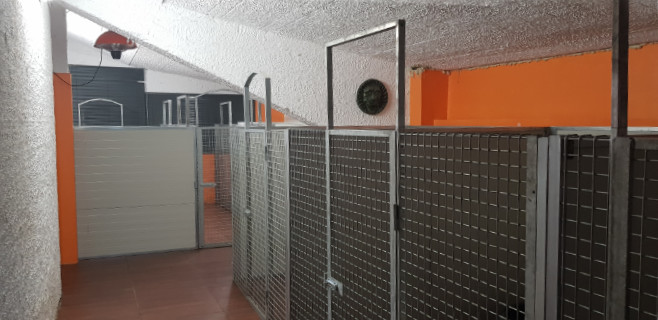 Sede di Potenza Allevamento Casa Bartolini • 7/8