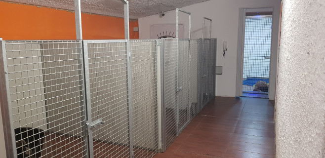 Sede di Potenza Allevamento Casa Bartolini • 8/8