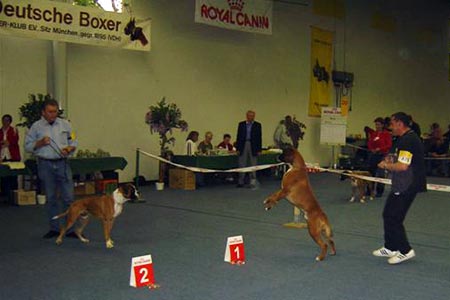 Europasieger Dortmund (D)