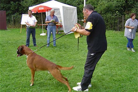 Raduno Hanau (D)