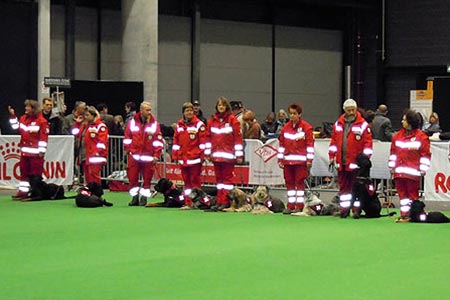 CACIB Offenburg (D)