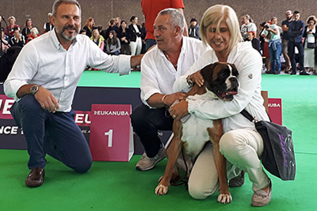 World Dog Show Amsterdam 2018 (N)