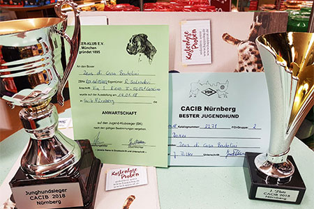CACIB Norimberga (D)