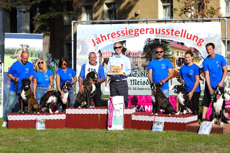 Jahressieger Ausstellung 2019 Meisdorf