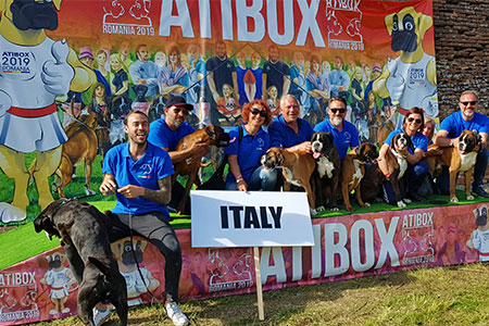 Atibox 2019 Romania Oradea