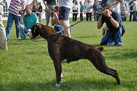 Esposizioni 2001