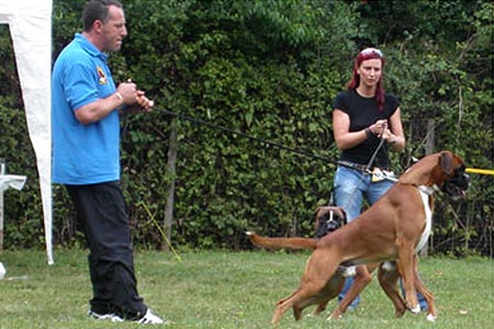 Esposizioni 2002