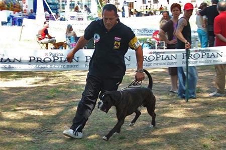Esposizioni 2003