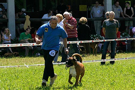 Jahressieger Svizzera
