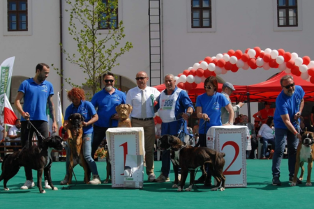 Esposizioni 2022