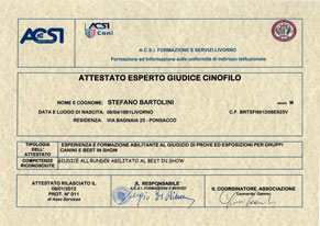 Stefano Bartolini, giudice