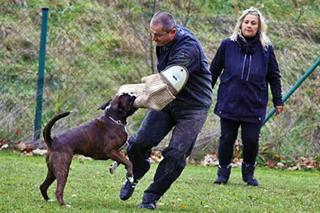 Prova Lavoro Pamela, Demetra e Aldo