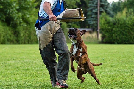 Prova Lavoro Ronnie (Jethro)