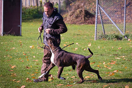 Prova Lavoro Sam