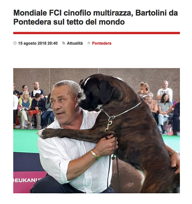 Go News, 15 Agosto 2018