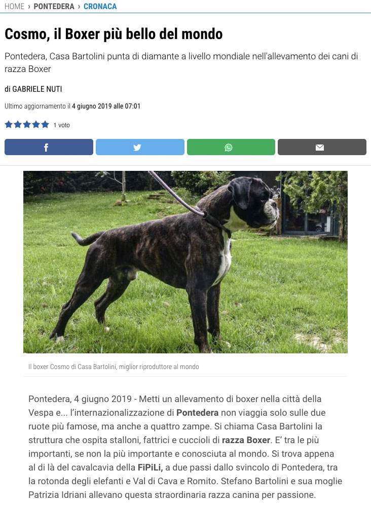La Nazione, 04 Giugno 2019