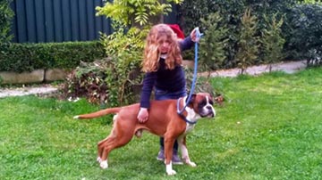 Il boxer e la bambina