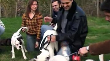 I boxer di Casa Bartolini
