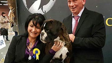 Cosmo Campione del Best Show di Modena