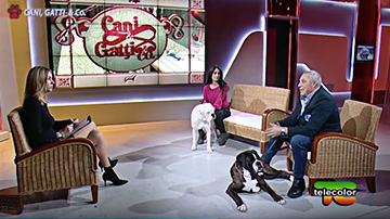 Intervista senza censure