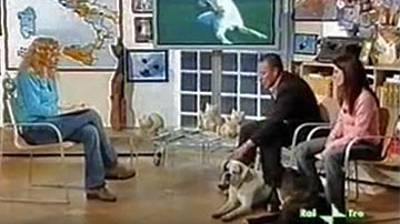 Il boxer bianco in TV sulla Rai