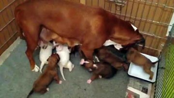Sally bravissima mamma...