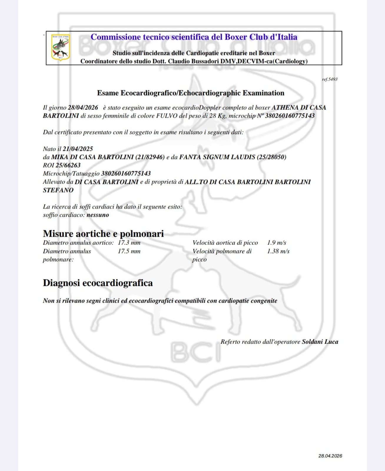 Athena di Casa Bartolini — documenti