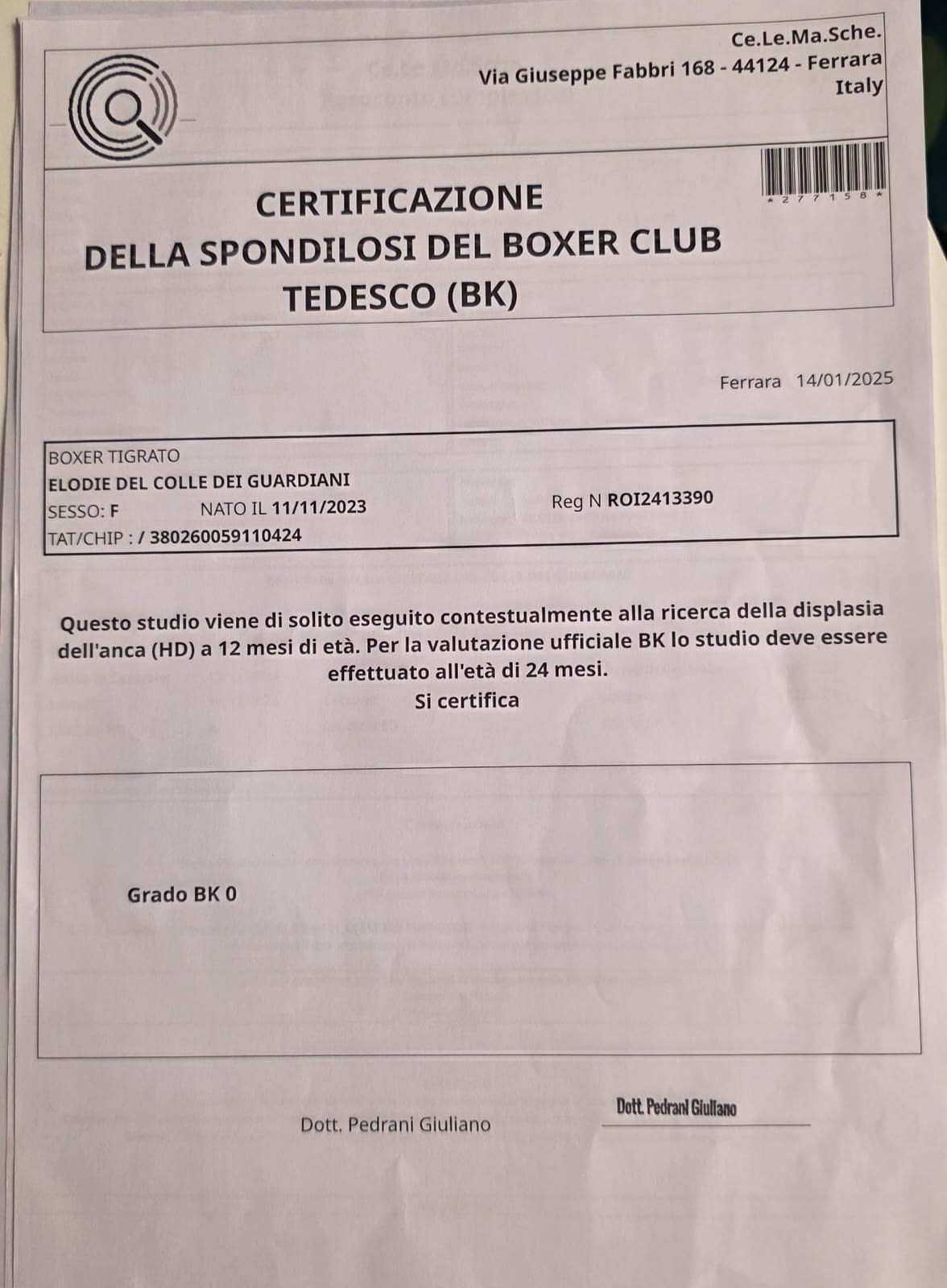 Elodie del Colle dei Guardiani — documenti