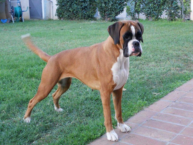 Ines di Casa Bartolini