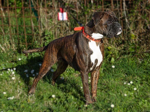 Marta di Casa Bartolini (detta Kore)