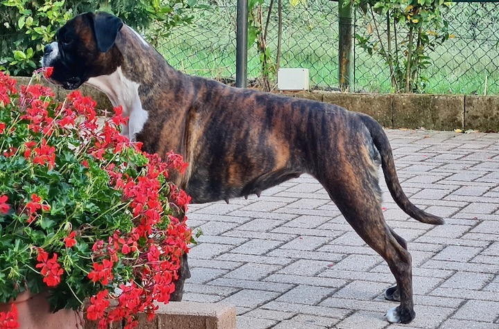 Mia di Casa Bartolini
