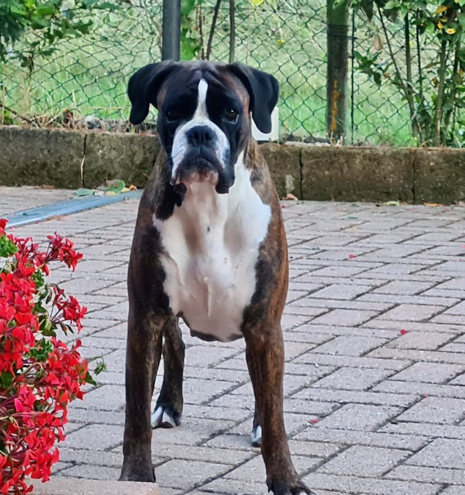 Mia di Casa Bartolini