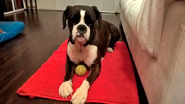 Rubina di Casa Bartolini