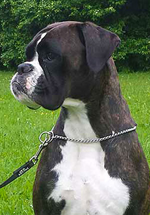 Winona di Casa Bartolini (detta Zoe)