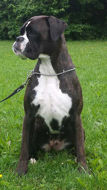 Winona di Casa Bartolini (detta Zoe)