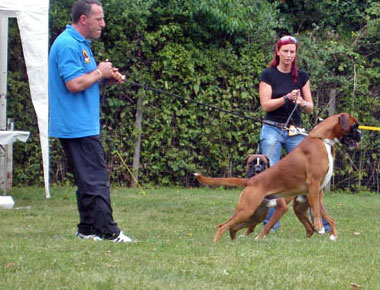 Tobia di Casa Bartolini