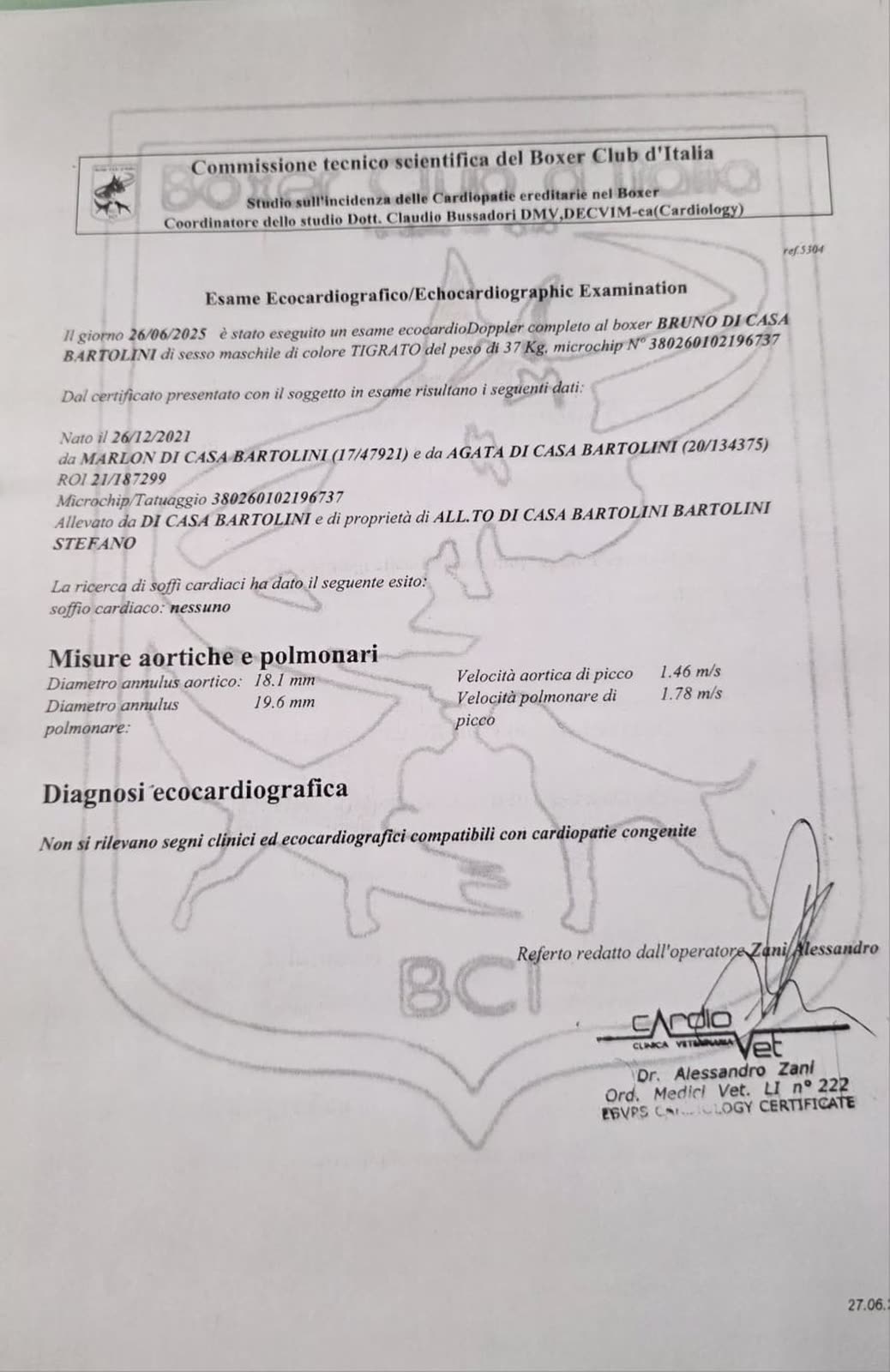 Bruno di Casa Bartolini — documenti