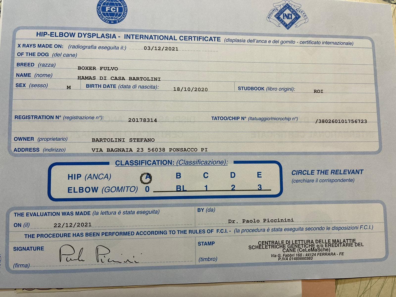 Hamas di Casa Bartolini — documenti